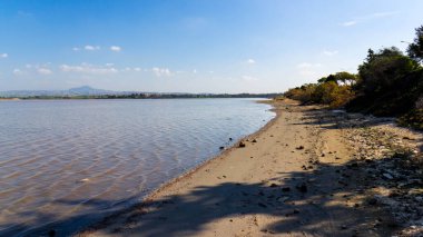 Larnaka Gölü, Kıbrıs. Larnaka yakınlarındaki Salt Gölü 'nde. Flamingo kuşlarının doğal yaşam alanı.