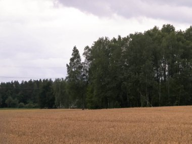 Kashubia 'da hava bulutlu. Gelen yağmur.
