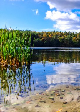 Lake Zawiad shore in Kashubia. Amazing nature of northern Poland.