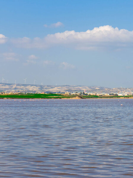 Ларнака-об-Кипр. Соленое озеро недалеко от города Ларнака. Природная среда обитания птиц фламинго.