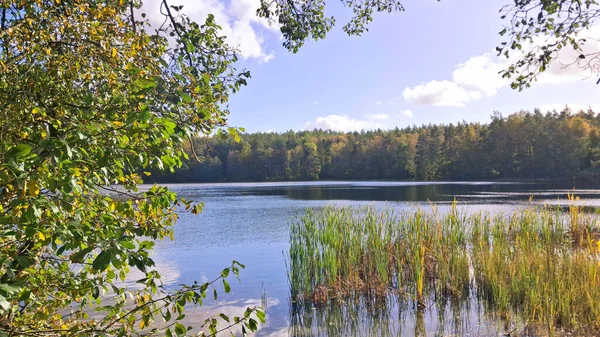 Lake Zawiad shore. Amazing nature of Kashubia in northern Poland.