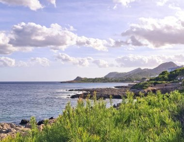 Mallorca 'nın doğası. Güneşli bir günde bu tropik adanın kıyısında. Mallorca popüler bir turistik yönetimdir.