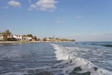 Kıbrıs 'ta Perivola yakınlarında çarpıcı bir egzotik. Güzel, tropikal doğa ve sıcak deniz.
