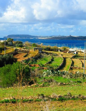 Malta 'da kırsal alan. Marfa Yarımadası 'ndaki sahil bölgesi..