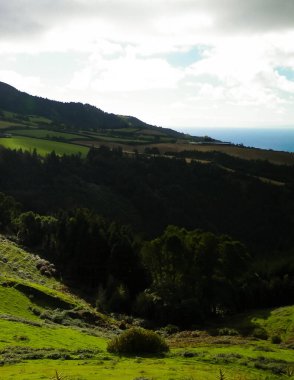 Tipik Azores manzarası. Arka planda doğal yeşil arazi tepeleri ve deniz. Doğanın güzelliği konsepti.