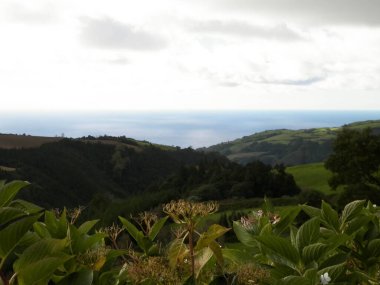 Tipik Azores manzarası. Arka planda doğal yeşil arazi tepeleri ve deniz. Doğanın güzelliği konsepti.