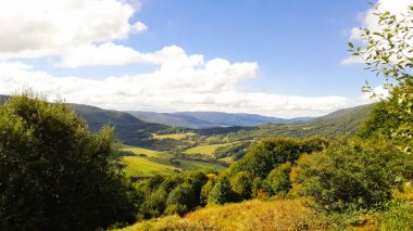 Güneşli bir günde Polonya Bieszczady Dağları 'nın güzel manzarası. Karpatların güzelliğini keşfetmek.