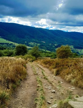 Dağın tepesinden Bieszczady 'nin güzel manzarası. Dağ turizmi.