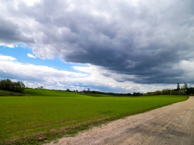 Kashubian Bölgesi, Wiezyca 'daki yeşil tarlalar ve tepeler. Wiezyca Polonya 'nın turistik bölgesidir.