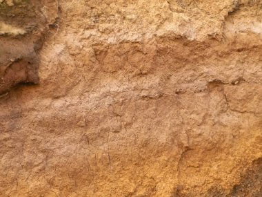 Toprak doğal bir arka plan. Boşluğu kopyala.