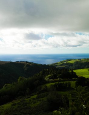 Tipik Azores manzarası. Arka planda doğal yeşil arazi tepeleri ve deniz. Doğanın güzelliği konsepti.