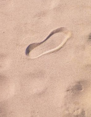 Sahilde ya da çölde yürüyen gezginler. Doğal arkaplan.