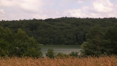 Wiezyca ve Ostrzyckie Gölü 'nde bir tarla. Kashubia 'nın güzel doğası.
