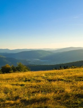 Blotnia Dağı 'ndaki çayır. Polonya 'da yandaşlar.