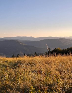 Güneydoğu Polonya 'daki Beskides Dağları. İnanılmaz bir doğa olayı..
