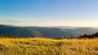Blotnia Dağı 'ndaki çayır. Polonya 'da yandaşlar.