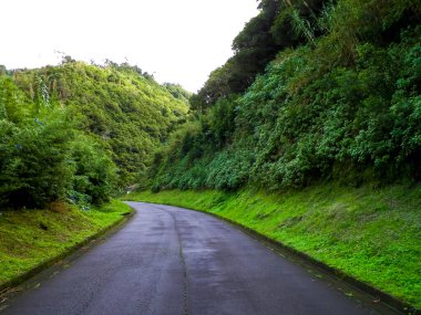 Atlantik Okyanusu 'ndaki Sao Miguel Adası Azores Takımadası üzerindeki yol.