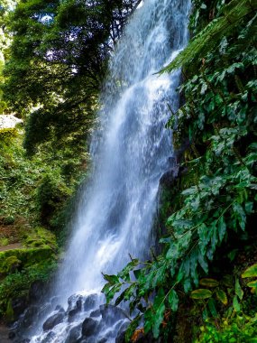 Azores 'de inanılmaz bir şelale. Sao Miguel Adası. Doğanın güzelliği.