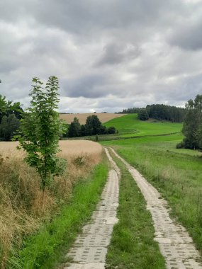 Kashubia 'daki çayır üzerinde kara bulutlar. Yağmurlu hava geliyor. Kuzey Polonya 'nın güzel doğası.