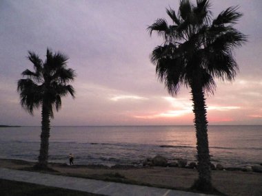 Akdeniz üzerinde gün batımı ya da gün doğumu. Avuçlar ve egzotik doğa.