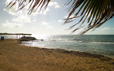 Paphos City yakınlarındaki tropik plaj, Kıbrıs adası. Boşluğu mavi gökyüzünde kopyala - bir kartpostal için iyi bir arkaplan.