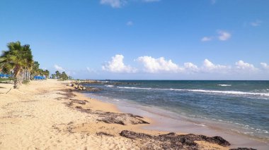 Kıbrıs adası Paphos City yakınlarındaki tropik palmiye, sahil ve Akdeniz manzarası. Seyahat kavramı.