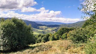 Güneşli bir günde Polonya Bieszczady Dağları 'nın güzel manzarası. Karpatların güzelliğini keşfetmek.