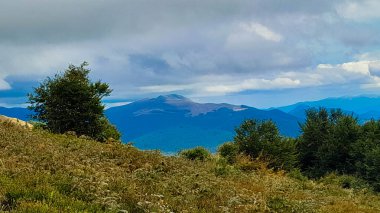 Dağın tepesinden Karpatların güzel manzarası. Doğanın güzelliği.