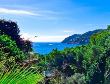 Mallorca adasının kıyısında. Bu egzotik adanın şaşırtıcı doğası.