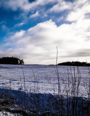 Kış. Kuzey Polonya 'nın Kashubian bölgesinde çayırlarda kar. Seyahat ve doğa kavramı.