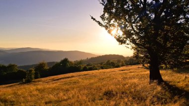 Öğleden sonra Szyndzielnia tepesinden göz kamaştırıcı bir manzara. Beskid Dağları.