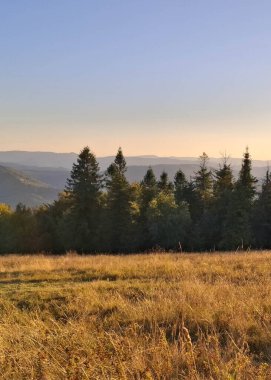 Güneydoğu Polonya 'daki Beskides Dağları. İnanılmaz bir doğa olayı..