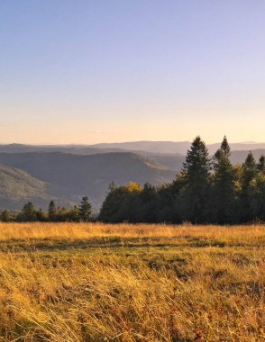Güneydoğu Polonya 'daki Beskides Dağları. İnanılmaz bir doğa olayı..