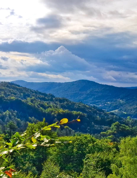 Skrzyczne Dağı 'ndan Beskid Dağları manzarası. Doğanın güzelliği.