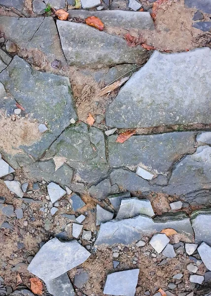 Yerdeki kayalar doğal bir arka plan. Boşluğu kopyala.