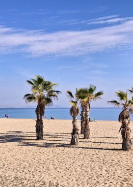 Alicante Sahili 'nde güneşli bir gün. İspanya 'nın en popüler turistik bölgelerinden biri..