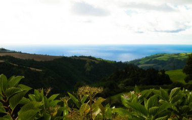 Sao Miguel Adası 'nın tipik manzarası. Yeşil tepeler ve yağmurlu hava. Azores 'in saf egzotik ve güzel doğası..