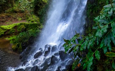 Azores 'de inanılmaz bir şelale. Sao Miguel Adası. Doğanın güzelliği.