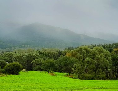 Bieszczady Dağları 'nın tepesinde kara bulutlar. Fırtına geliyormuş. Polonya 'nın güneyi.