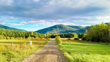 Güneşli bir günde Polonya Bieszczady Dağları 'nın güzel manzarası. Karpatların güzelliğini keşfetmek.