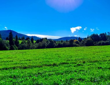 Güneşli bir günde Polonya Bieszczady Dağları 'nın güzel manzarası. Karpatların güzelliğini keşfetmek.