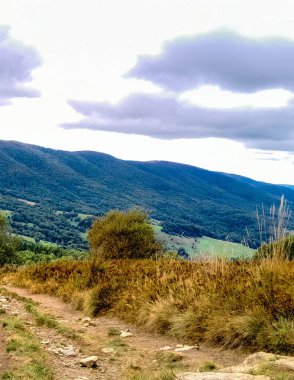 Bieszczady dağlarının güzel manzarası. Karpatlar. Doğanın güzelliği.