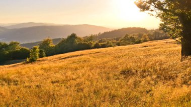 Öğleden sonra Szyndzielnia tepesinden göz kamaştırıcı bir manzara. Beskid Dağları.