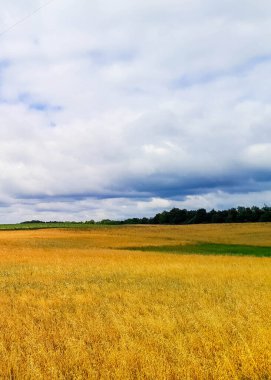 Kashubia 'da kara bulutlar var. Fırtına yaklaşıyor. Kuzey Polonya 'nın şaşırtıcı doğası.