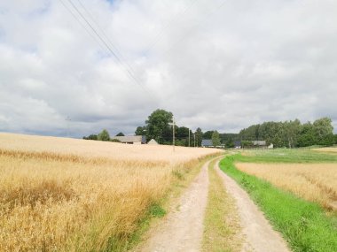 Kashubia 'da kara bulutlar var. Fırtına yaklaşıyor. Kuzey Polonya 'nın şaşırtıcı doğası.