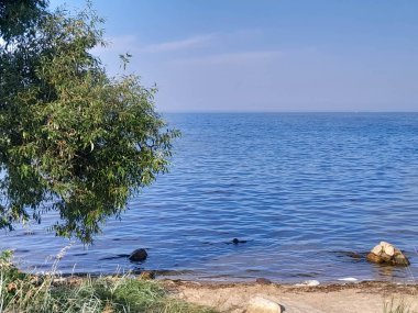 Baltık deniz manzarası. Kuzey Polonya.