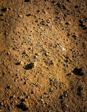 Doğal bir arka plan olarak çöl arazisi. Boşluğu kopyala.