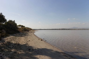 Larnaka Gölü, Kıbrıs. Larnaka yakınlarındaki Salt Gölü 'nde. Flamingo kuşlarının doğal yaşam alanı.