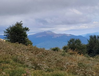 Bieszczady dağlarının güzel manzarası. Karpatlar. Doğanın güzelliği.