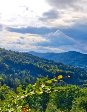 Skrzyczne Dağı 'ndan Beskid Dağları manzarası. Doğanın güzelliği.